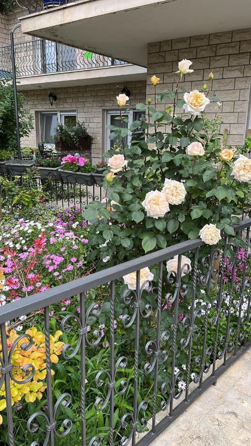 Apartman Ursic *