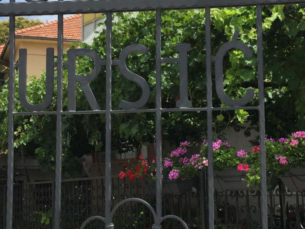 Ursic Split